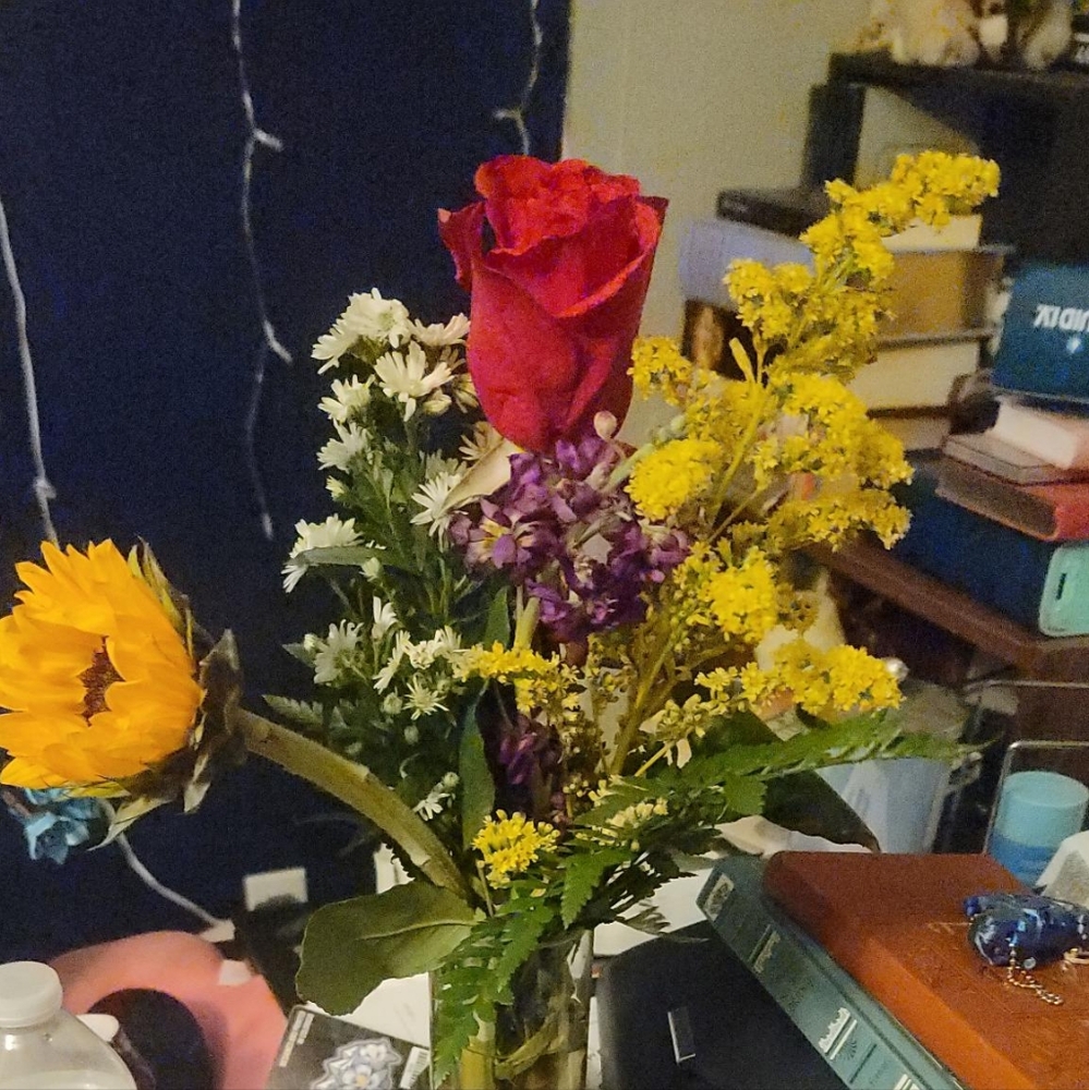 Meet your Posher, Elizabeth